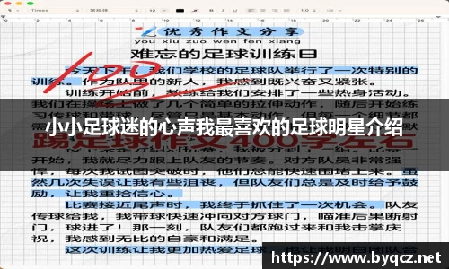 小小足球迷的心声我最喜欢的足球明星介绍